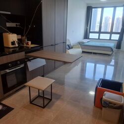 Irwell Hill Residences (D9), Apartment #486290871